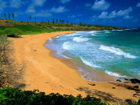 donkeybeachkauaihawaii.jpg